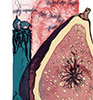 Sarah Dudley forbidden fruit lithography fig south-figs-fire thumb